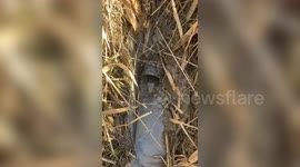 Farmer says after
