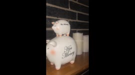 His And Hers Piggy Bank