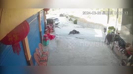 Pensioner savagely bitten and dragged by wild boar that invaded village