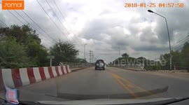 Kitten falls from under car into oncoming traffic but survives