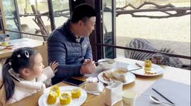 Zebra joins family for breakfast at zoo in China