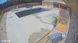 Our Puppy Forgot We Took the Cover Off the Pool