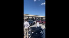 Bees Swarm to One Specific Car at Buc-ee's