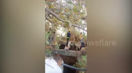 Police officers rescue calf from deep well in northern India