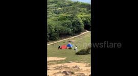 Tourist drops backpack while fleeing hungry boar in Hong Kong