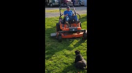 Dog loves to ride the lawnmower on the farm