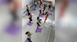 Fitness fanatics do yoga with their pet dogs