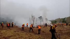 Guatemalan Army Launches National Forest Fire Suppression Exercise in Peten, Guatemala