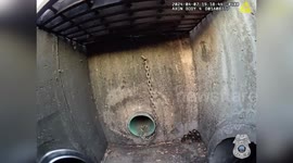 Officers Rescue Ducklings Trapped in Sewer in Tampa, FL, USA