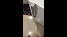 Girl Sneakily Enjoys Meat From the Freezer