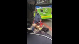 Motorcyclist Gives Barbie a Lift