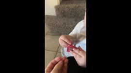 Easter egg deception: Tale of tangy treats and traumatized taste buds