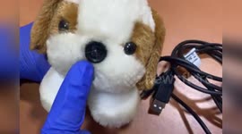 Police find hidden cameras stepfather used to record girl