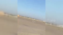 Stray Dogs Teem In Baghdad Airport, Iraq