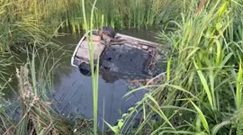 Driver survives whole night after crashing car into canal