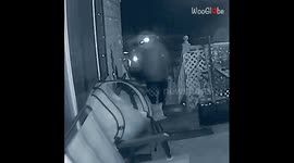 Husband's slippery staircase shuffle serves up a snowy spectacle of silliness
