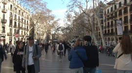 TikTok ban bill is digital protectionism: Spanish expert