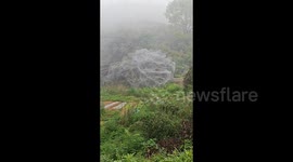 Village in shock as massive web full of hairy caterpillars appears overnight in China