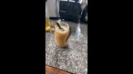 Geckos Eat Woman's Fruit Smoothie