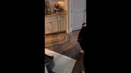 Dino deception: Little girls pull April Fool's Day prank on their mom