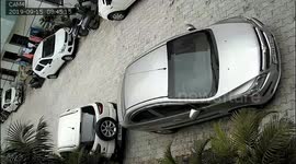 Monkey Uses Car as Trampoline