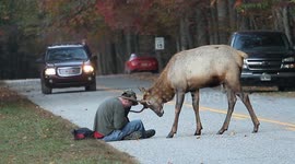 Photographers Meeting Animals