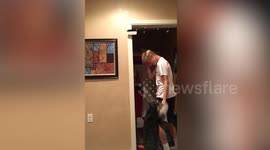 Hide and Seek with Pets