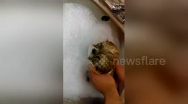 Cute Baths