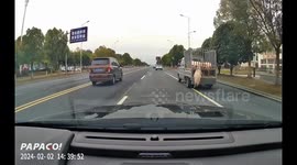 Driver alerts truck operator after pig falls from moving vehicle in Anhui