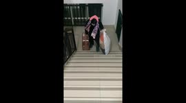 Staircase mishap: college student's luggage tumble causes domino effect