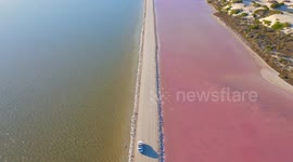 Pink magic: Nature's stunning transformation at Lake MacDonnell in Australia