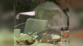 Outrage over rat munching on leftovers at Chinese restaurant