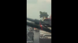 Dozens of monkeys gang up to steal food from pickup truck