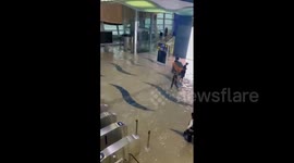 UAE: Torrential Rain Causes Severe Flooding In Dubai 3
