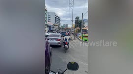 Pet dog rides on the back of motorcycle