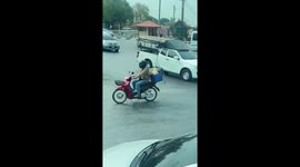 Monkey leaps onto moving motorcycle to steal food
