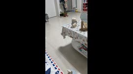 Pet cat comforts its crying owner in China