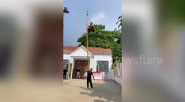 Chinese duo performs incredible balancing skills of bamboo pole acrobat
