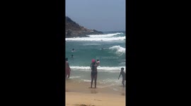 Struggling To Reach Seashore