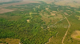 Florida could lose 3.5 million acres of land to land development by 2070 study says