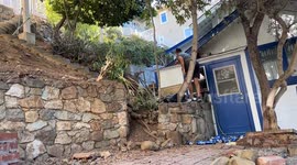 Man Rescues Buck Tangled in Chain