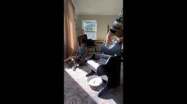 Cat Taught To Play Piano Using Classical Conditioning