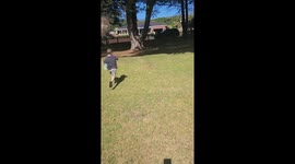 Runaway Easter Egg