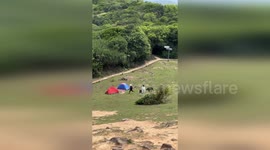 Wild boar chases tourists all over mountain