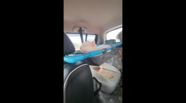 Pet cat has its own hammock for car journeys