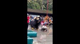 Black lion plays with baby during Foshan's Chinese New Year lion dance event