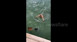 Brave elderly man rescues girl from river