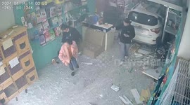 Car crashes into pet shop injuring pets and damaging store