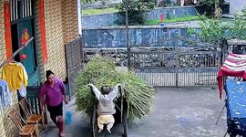 Chinese toddler propelled into air while playing with handcart
