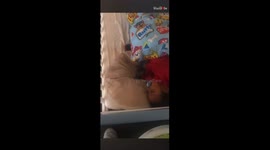 Whispers of wonder: Little boy's giggles reveal the magic hidden within slumber